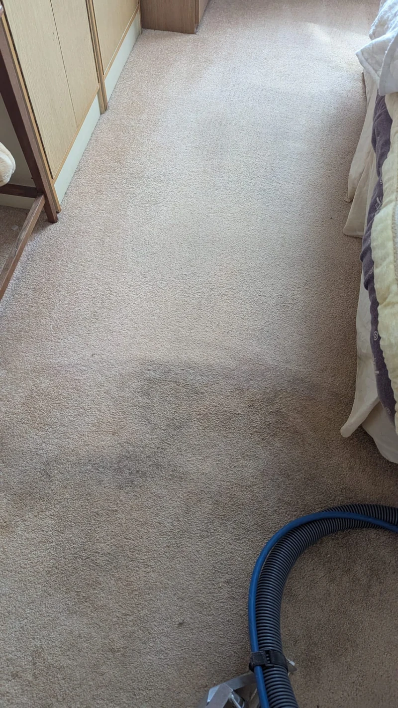 Carpet cleaning progress beside a wardrobe