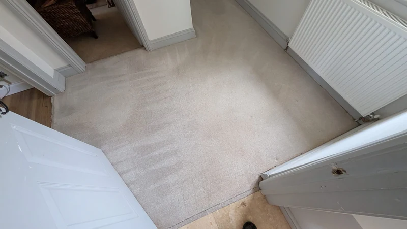 Cleaned carpet beside a doorway and radiator