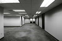 Commercial carpet cleaning in a business premises
