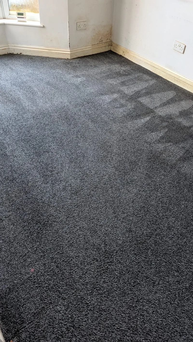 Grey carpet following cleaning
