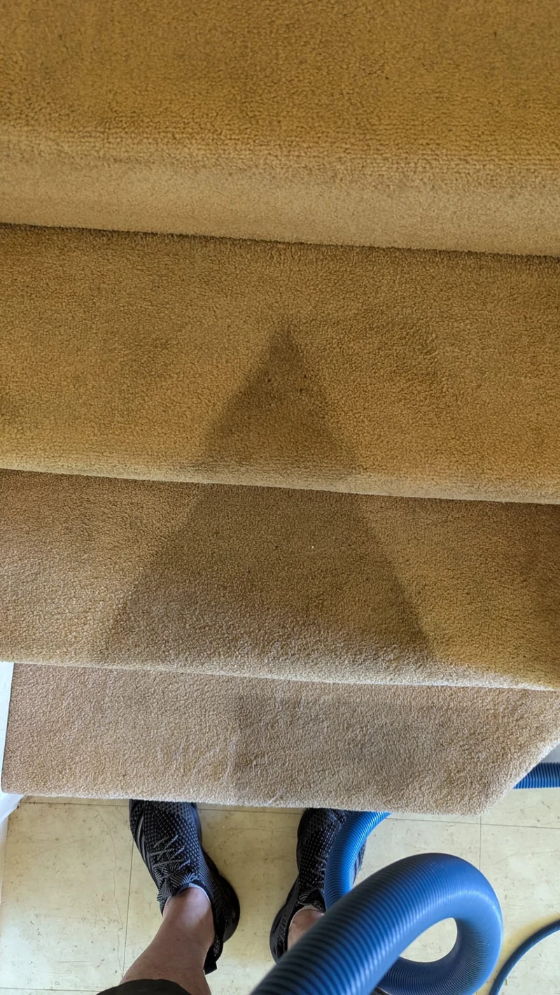 Stair carpet with visible cleaning contrast