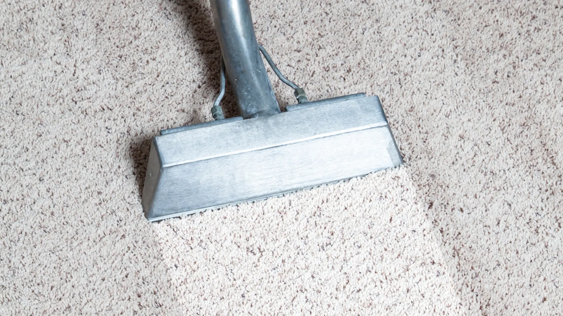 Rug cleaning