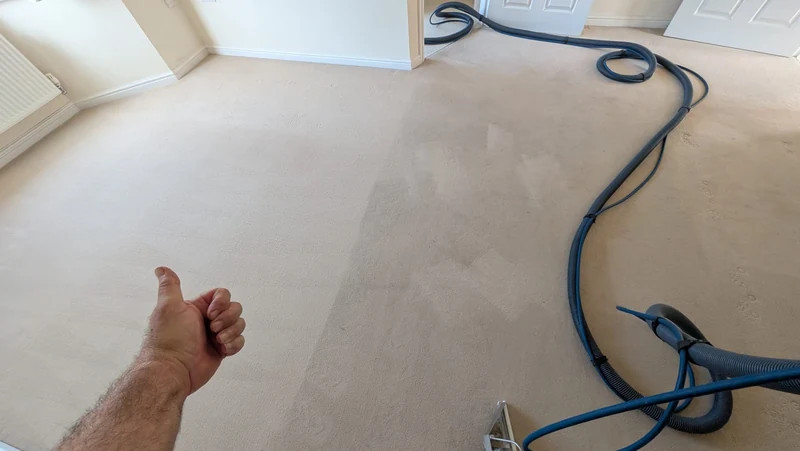 Carpet cleaning in progress with hoses